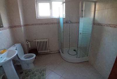 Vila 365 mp si teren aferent 5000 mp Batca Doamnei - 6