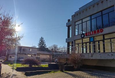 Spațiu comercial, Municipiul Giurgiu - 6