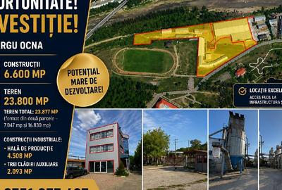 Constructii  6.600 mp  + Teren  23.800 mp ~ Targu Ocna - 1