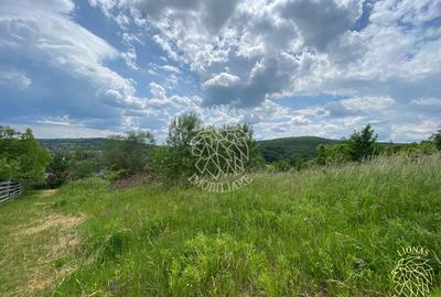 Teren Construcții intravilan de 2800 mp, în Exterior Est