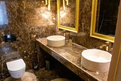 Apartament 4 Camere LUX - Herastrau - 11