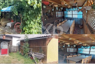 Corbi, Arges - Casă autentică zonă rurală pitorească –liniște, natură și poveste - 4