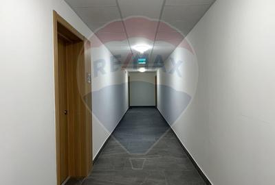 Apartament cu 2 camere de închiriat Arbo Residence, Mogoșoaia - 10
