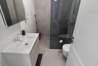 2 Camere 10min Metrou P. Poenaru Lake House2 Politehnica Lujerului - 12