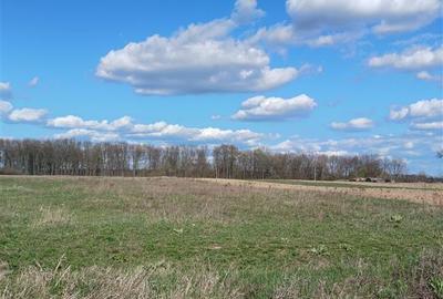 Teren pentru constructii case  de vanzare Iasi, Poiana cu Cetate, - 1