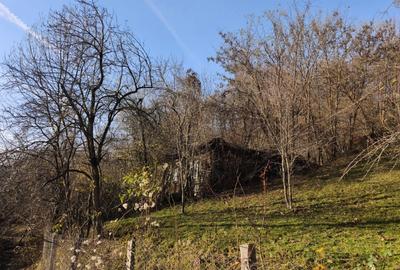 Teren intravilan Breaza 4,000mp utilitati. Panorama superba. Parcelabil - 1