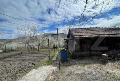 Locuinta in Ticu-Colonie (Casa de vacanta la un pret corect!) - 3