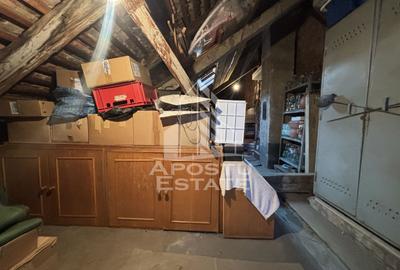 Casa 2 camere de vanzare Calea Sagului, Timisoara, curte comuna - 10