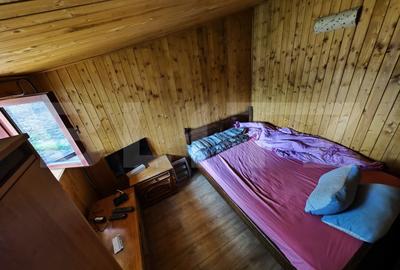 Casuta de vacanta in padure , zona Barnova - 6