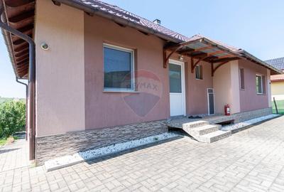 Casa de vanzare in Chinteni, 5 camere, mobilata, utilata, teren 756 mp - 25