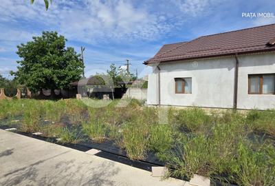 Vilă Impunătoare cu 9.800 mp Teren – Bungetu, Dâmbovița | Oază de Liniște - 3