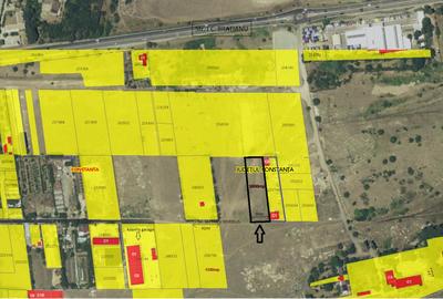 Teren Intravilan Construibil 3000mp Constanta Ideal Hale - 4