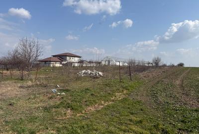 Teren intravilan 4.990 mp – Frumușani, zona Pasărea | Deschidere 22,5 m - 4