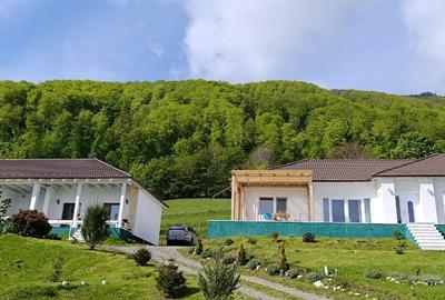 Proprietate speciala in Bran-Predelut cu 2 case, priveliște panoramica 180* - 2