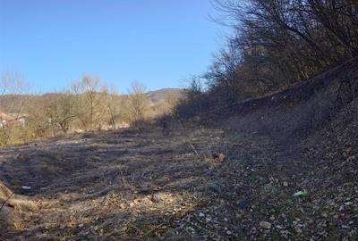 Teren intravilan la liziera padurii - 10