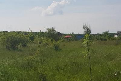 Ciolpani, zona Cimitir Britanic, stradal - 17