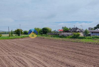Teren- Com. Stefan cel Mare- jud. Neamt - 8