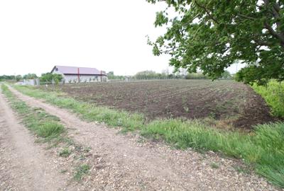 Teren1800mp intravilan Hanu Conachi - 1