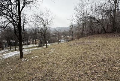 Teren 4652 mp cu izvor pe el, Lunca Mare, lângă păstrăvăria Doftana - 15