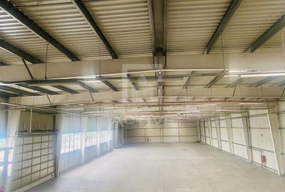 Hala noua ||zona Lidl - 6