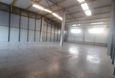 Spațiu industrial, 550 mp în Căpușu Mare