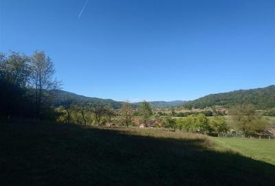 5,6 ha terenuri si padure in Criscior - 8