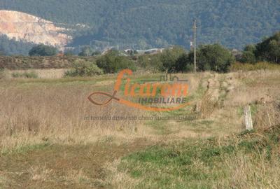 Codlea teren constructii industriale sau logistice 8 ha pana la 24 Ha - 14