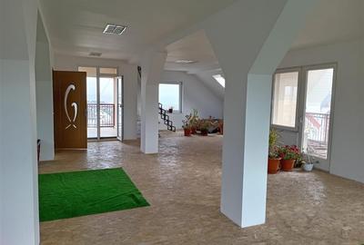 Casa individuala spatioasa in Ipotesti | 300 mp utili | Teren 1000 mp | C-5464 - 11