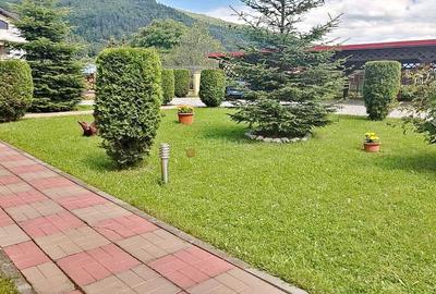 Pensiune 3 margarete - 1