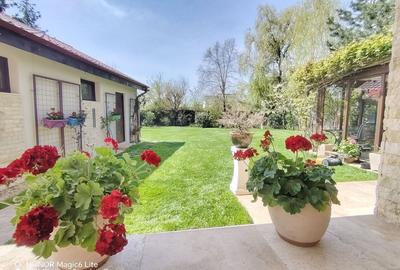 Casa individuala armonioasa -7 camere  -Corbeanca, str. Iepurasului - 35