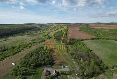 Casa de vacanta cu teren si padure de 3.8ha | Nadas | Herneacova - 5
