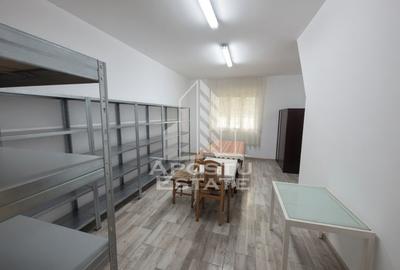 Casă renovată complet, cu garaj și anexe, în Satchinez, Timiș - 5