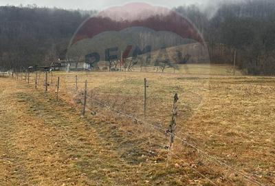 Teren 7,135mp Negreni / DN E60 - 1