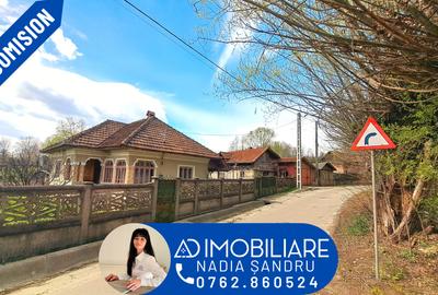Casă individuală cu 3 camere în Racovița