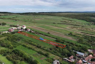 RECO Teren intravilan in Betfia 2000 mp - 2