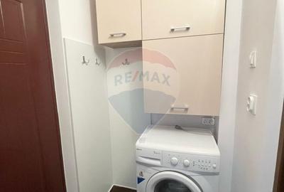 Apartament cu 1 camera de inchiriat in Micalaca - 9