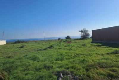 Teren intravilan 1000 mp Costinesti-Golful Francez-Schitu - 70.000 euro(Cod E2) - 1