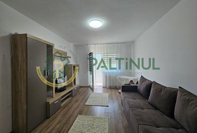 Apartament 2 camere de inchiriat zona Brana, Sibiu - 5
