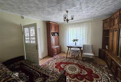 Proprietate de vanzare in Sat Izvoare, com. Bahna, judetul Neamt - 8