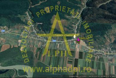 Bacau com. Tamași teren intravilan 21643 mp - 4
