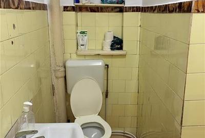 Casa 3 cam zona Armeneasca- Mosilor, str. Toamnei - 17