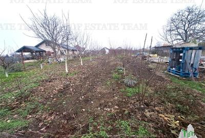 Teren Intravilan Moara Vlasiei 963 mp, Zona Superba, - 3
