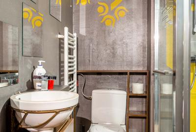 Inchiriere apartament 2 camere Centrul Istoric - 11