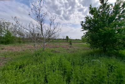 Teren construibil - 4