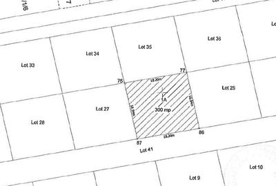 Teren Berceni Vidra | Lake Garden - 1