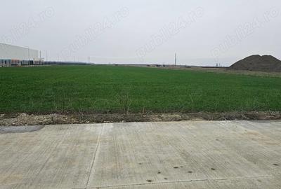 Teren intravilan, zona Calea Sagului. - 3