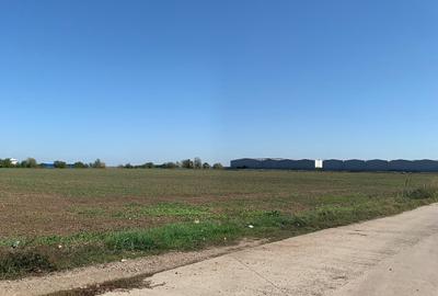 Teren Construcții extravilan de 7500 mp, în Afumați