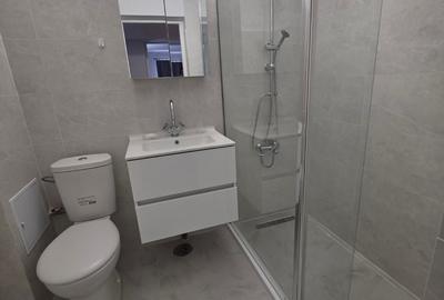 Decebal, rond Alba Iulia, renovata, mobilata si utilata, 10 minute metrou - 8