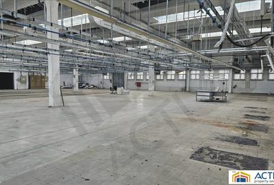 Hala de inchiriat Cisnadie Sibiu - 2