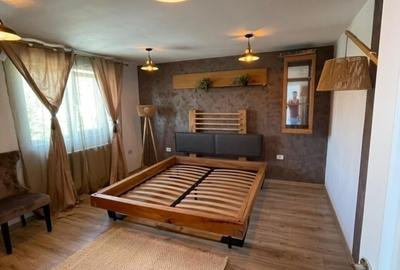 Vilă P+E Libera 160 mp si teren 720 mp în Valea Lupului Mobilată complet - 14